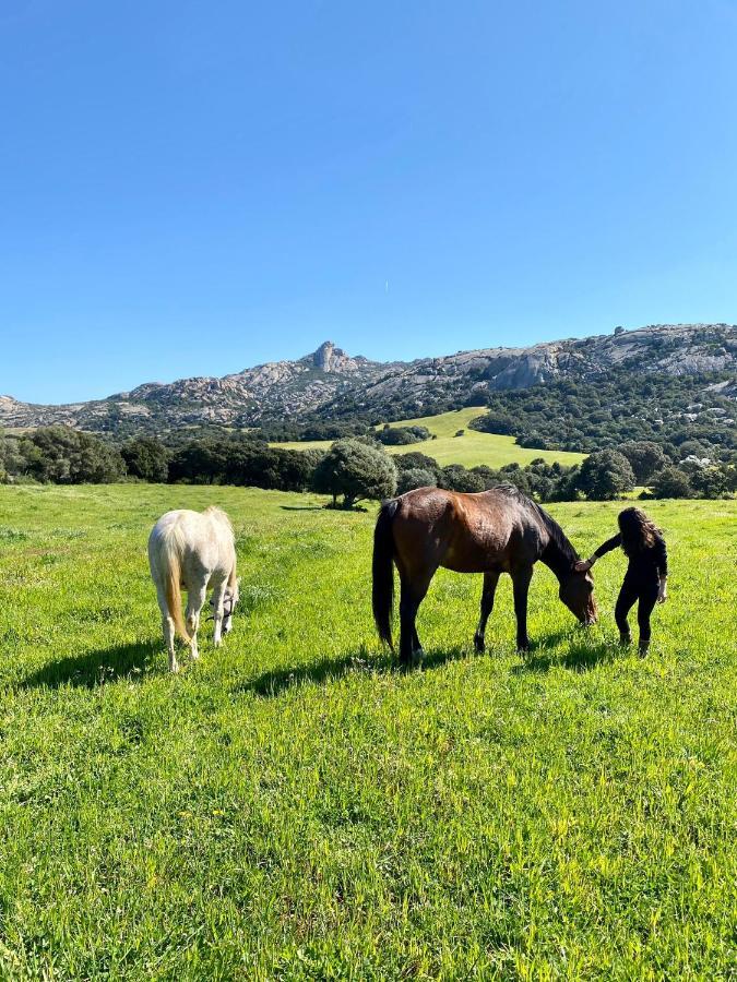 Agriturismo Lu Branu Arzachena Kültér fotó