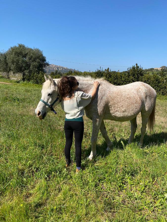 Agriturismo Lu Branu Arzachena Kültér fotó