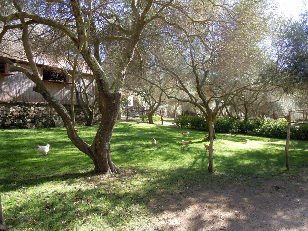 Agriturismo Lu Branu Arzachena Kültér fotó